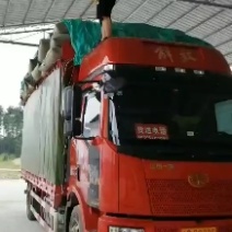 谷壳