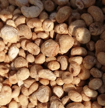 [半夏批发]无硫旱半夏半夏干货价格40.00元/斤 - 一亩田