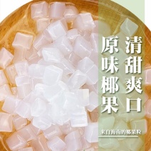 爱比琳椰果粒椰果奶茶芋圆甜品珍珠奶茶原料原味椰果粒椰纤果
