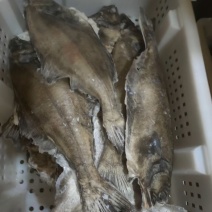 黑皮鲽鱼国产大号剑齿鲽鱼假鸦片鱼餐饮食材乡厨热销鲽鱼