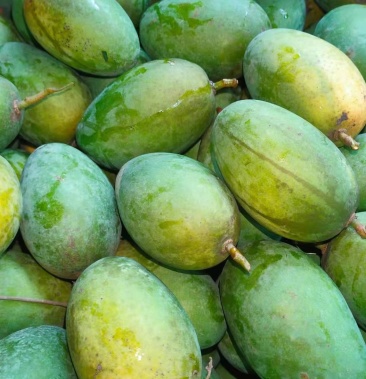 自家种的鸡蛋芒露斑果果肉多汁