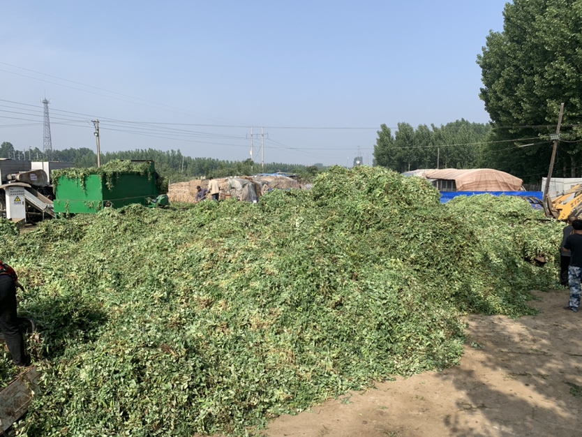 展示多种型号的青豌豆剥壳机,包括家用型、中型和大型设备,展示设备结构与工作原理 青豌豆剥壳机设备展示