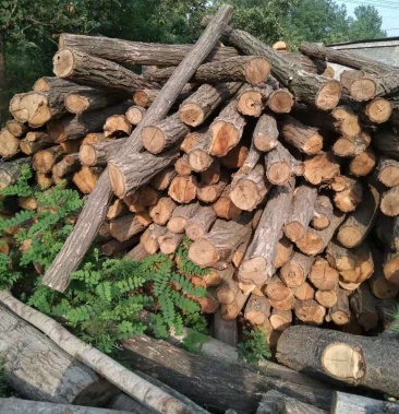 [刺槐批发]精品洋槐木价格30.00元/棵 - 一亩田