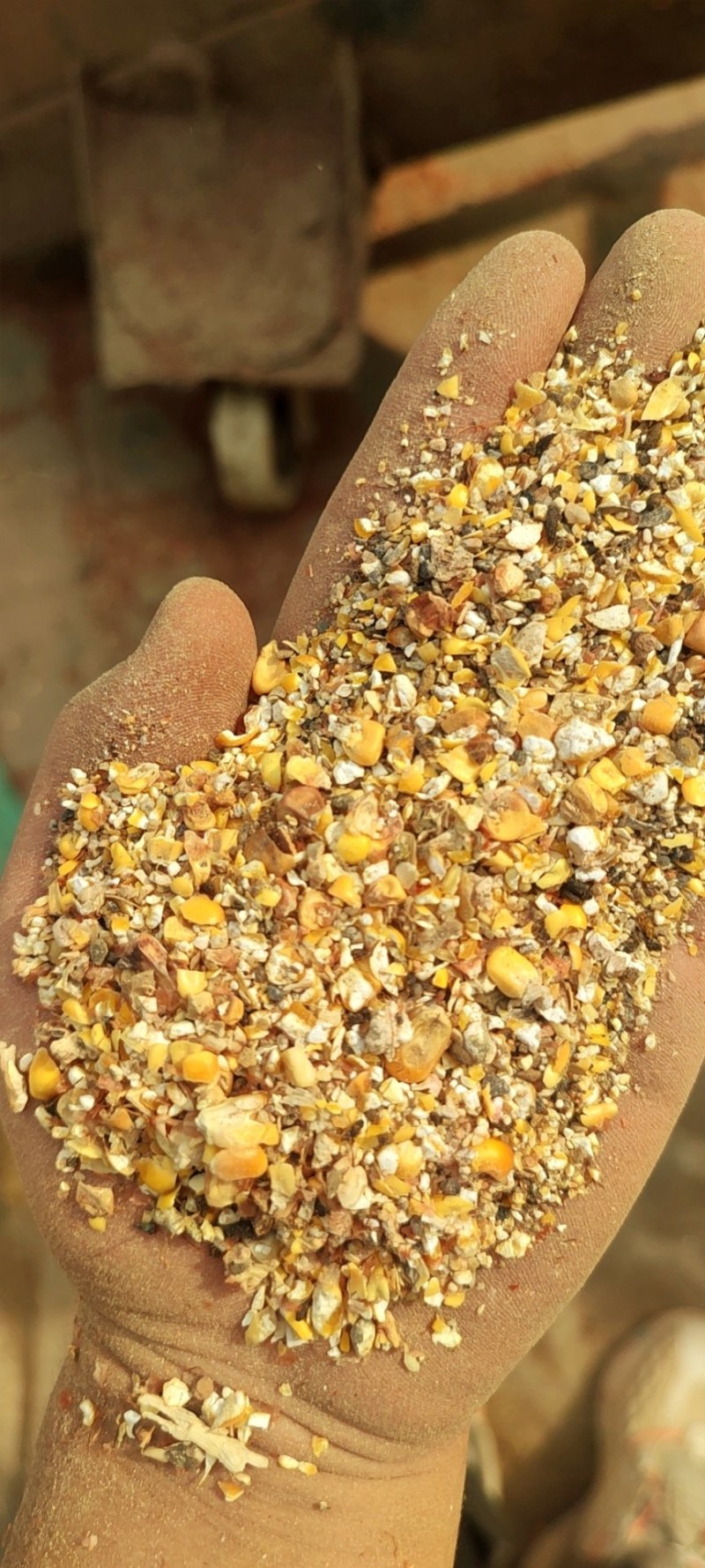 碎玉米,净粮,毛粮,无土无杂质,无霉变养殖专用,保证质量