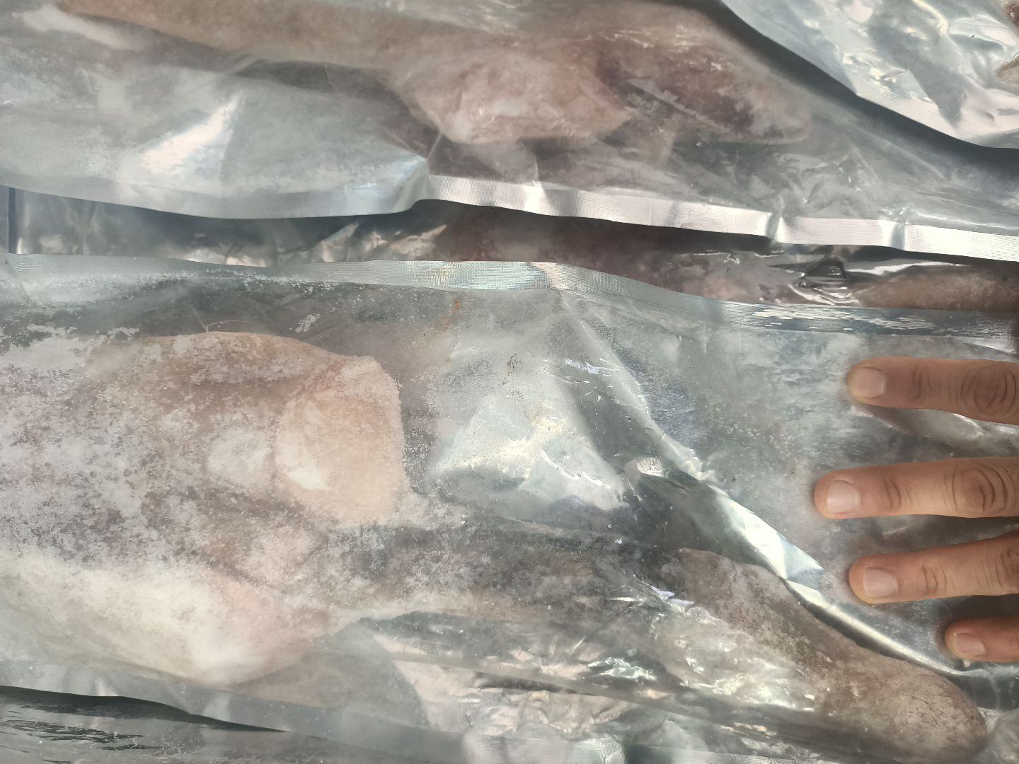 鹿鞭片包装与储存示意图