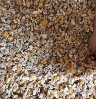 [碎玉米批发]碎玉米筛漏价格1500.00元/吨 - 一亩田