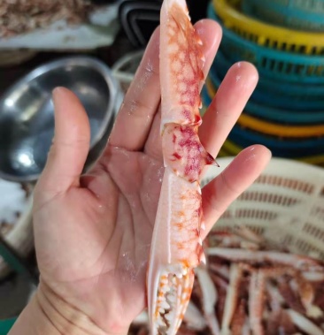 [蟹钳批发]冰鲜蟹钳/兰花蟹钳/一手货源,大量有货,全国发货价格26.