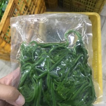 易农果蔬冻品树仔菜