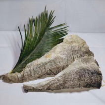 食用鱼皮深海鱼皮摆鱼皮凉拌鱼皮大海鱼皮地摊靠谱鱼皮产品