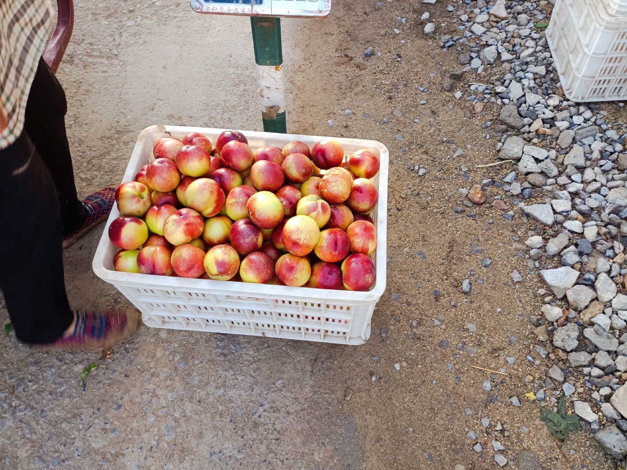 中油早玉油桃在市场摊位上整齐摆放,吸引消费者选购 中油早玉油桃在市场上的销售场景