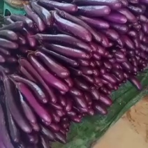 茄子