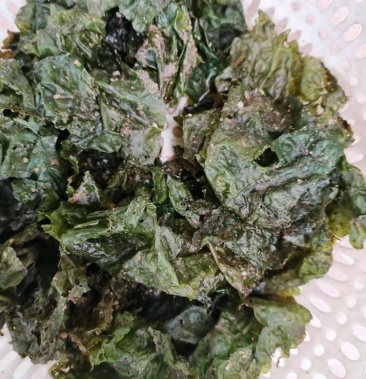 生海苔批发定制生捞