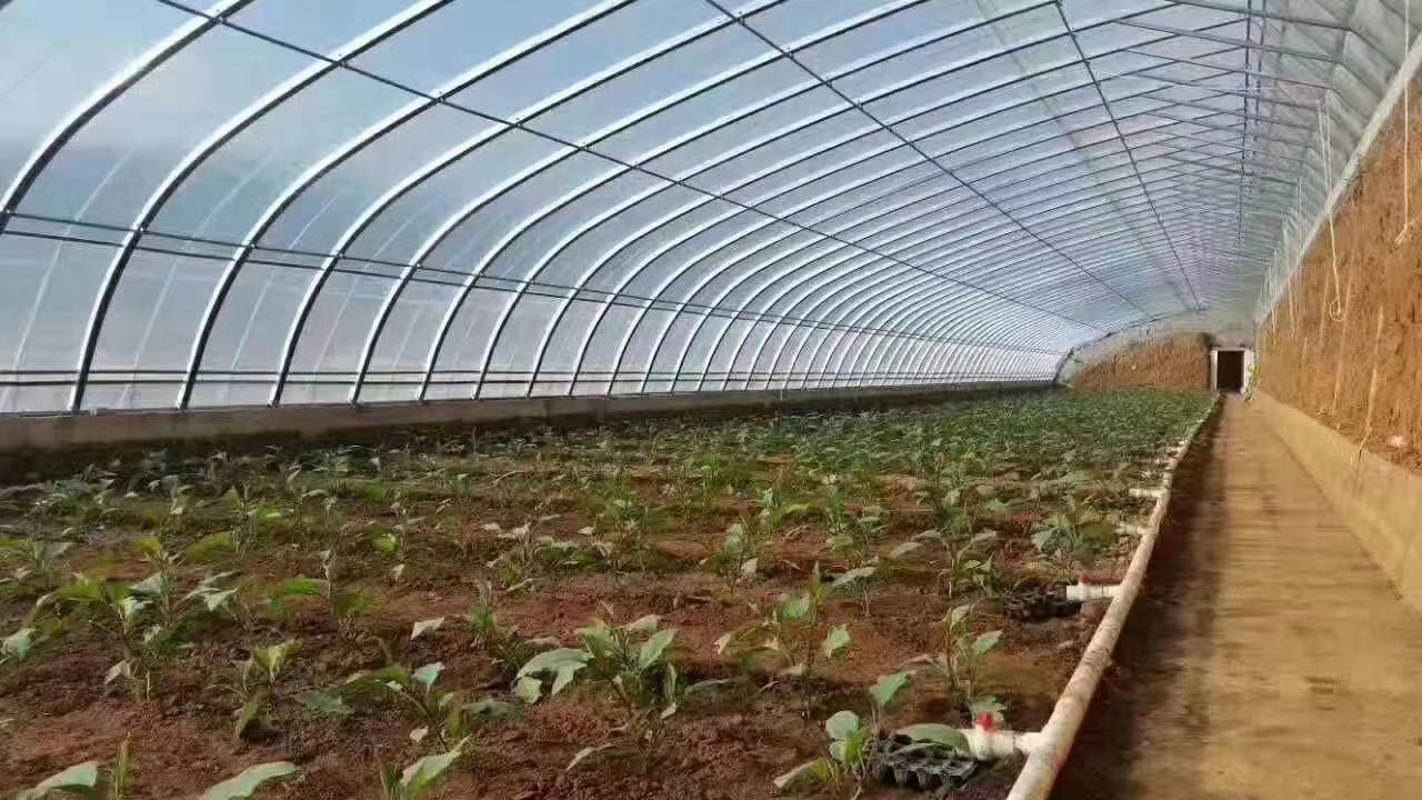 草莓大棚环境调控示意图