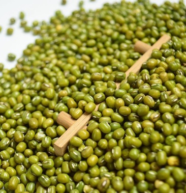 吉林白城地区东北优质绿豆量大热销中欢迎咨询