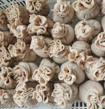 清真羊肚包肉 清真羊肚包脑 水退羊肚 新鲜羊脑