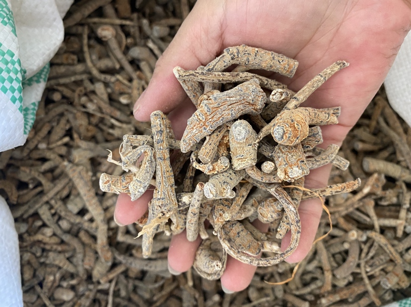 三七皂苷与西洋参皂苷分子结构示意图
