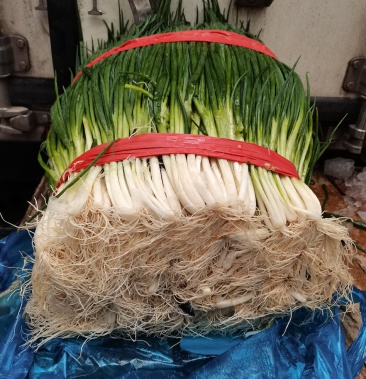 云南黑葱大量供应发车