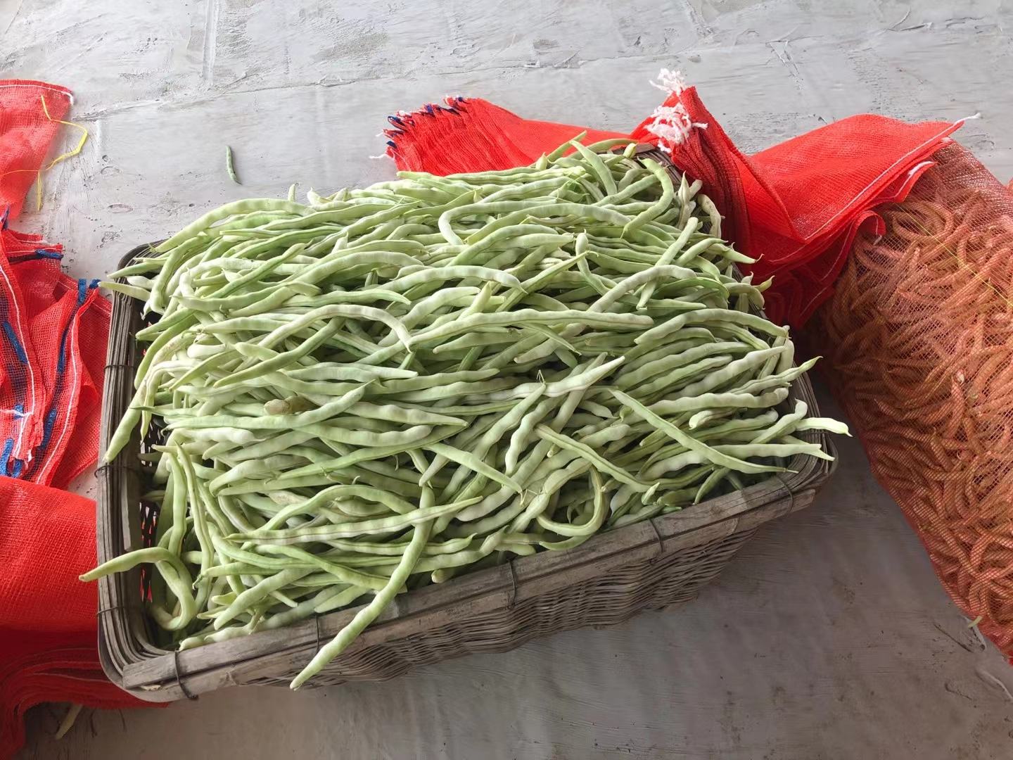 白不老土豆加工成薯泥、薯条、即食食品等产品展示,体现其多样化应用 白不老土豆加工产品展示