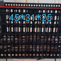 增强加厚桃筐，杏筐
