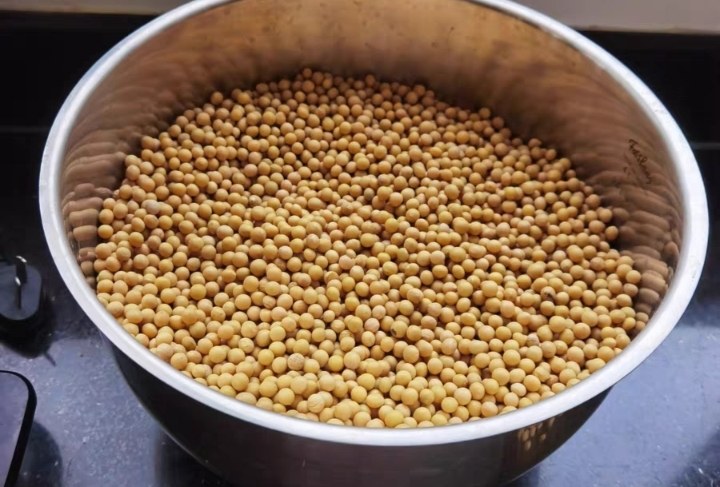 高压锅煮大豆成品