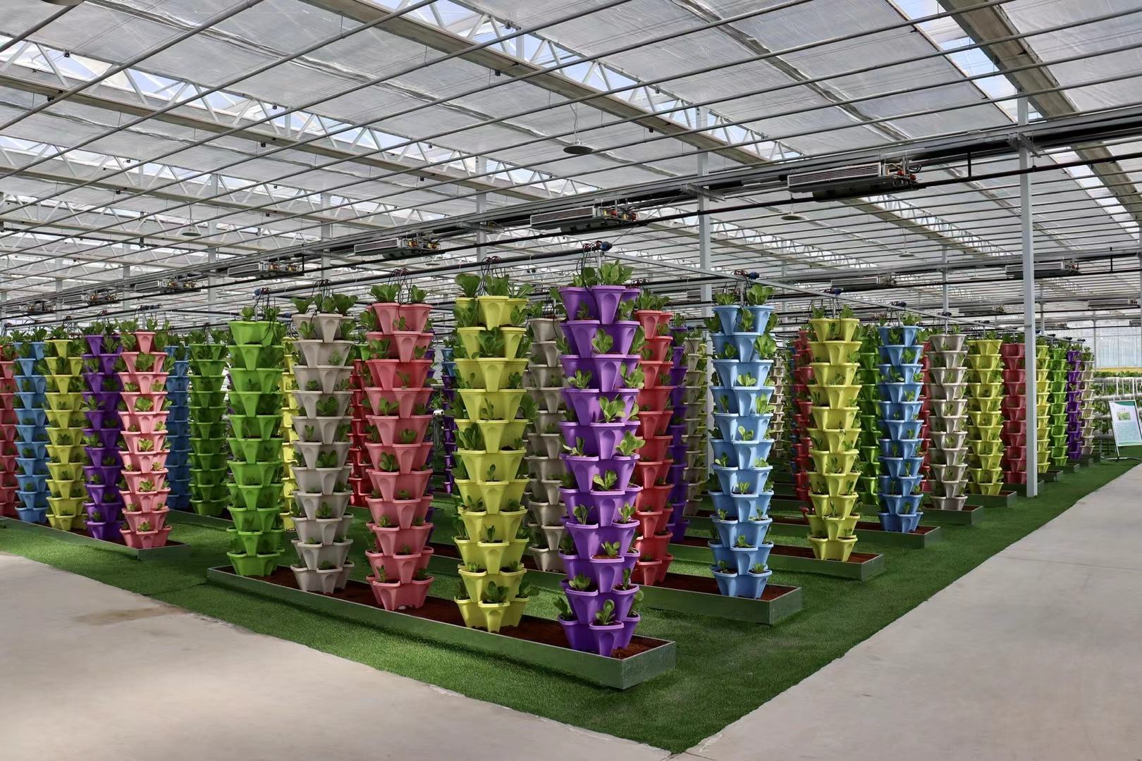 一排整齐的小黄瓜植株在现代化温室中垂直吊蔓栽培,果实自然下垂,大部分呈笔直形态;背景为透明塑料棚膜,可见补光灯设备,体现良好的光照与空间管理条件 小黄瓜植株在温室中整齐吊蔓栽培场景