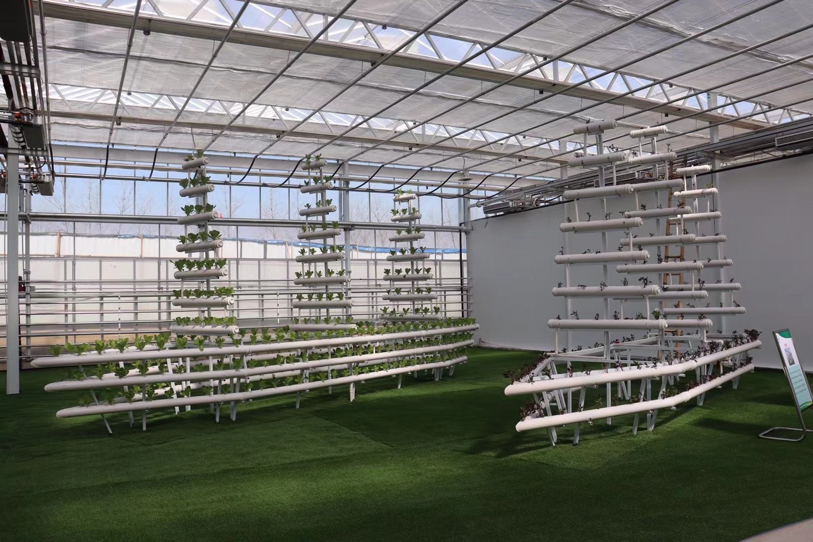 小黄瓜不同地区栽培模式对比图