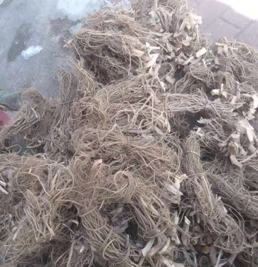 [树地瓜根批发]白花牛奶根价格20.00元/斤 - 一亩田