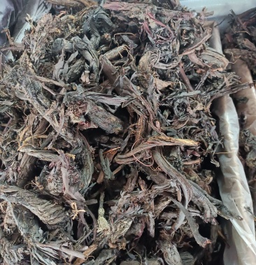 紫草内蒙古紫草野生无硫一斤起批内蒙古特产