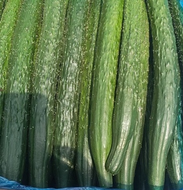 [黄瓜批发]黄瓜4毛价格0.40元/斤 - 一亩田