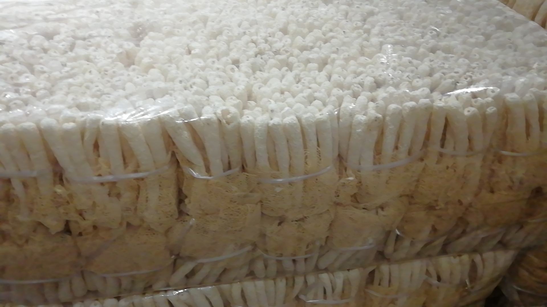 长裙竹荪泡发前后对比