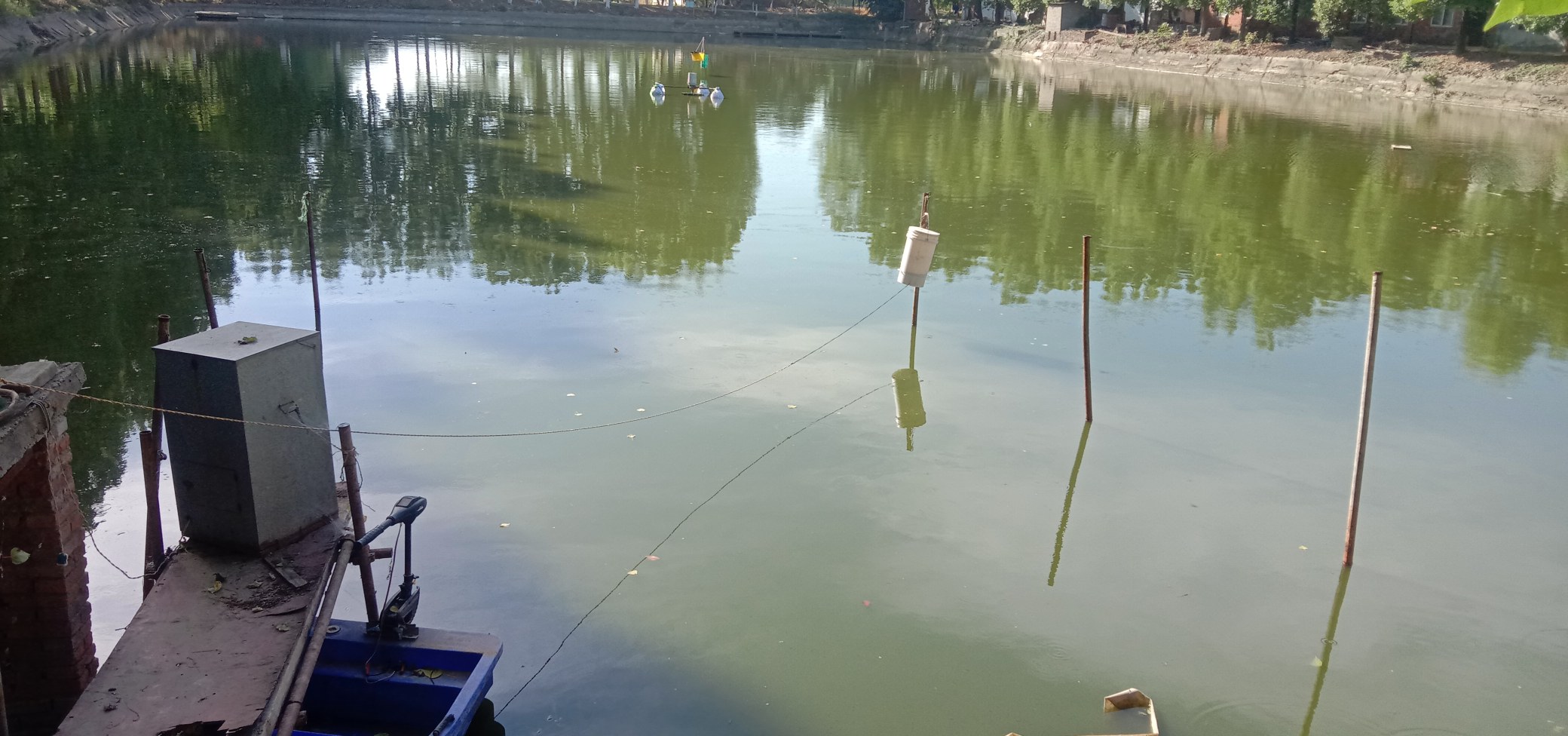 自动水质监测系统在养殖池边运行