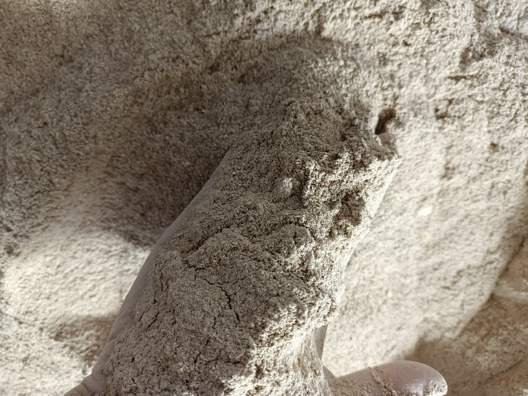 玉米胚芽粉与水冲泡示意图