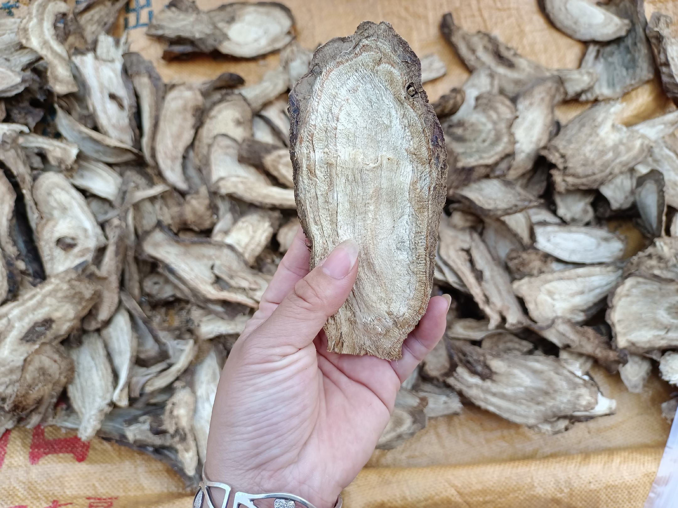 葛根花泡茶图片