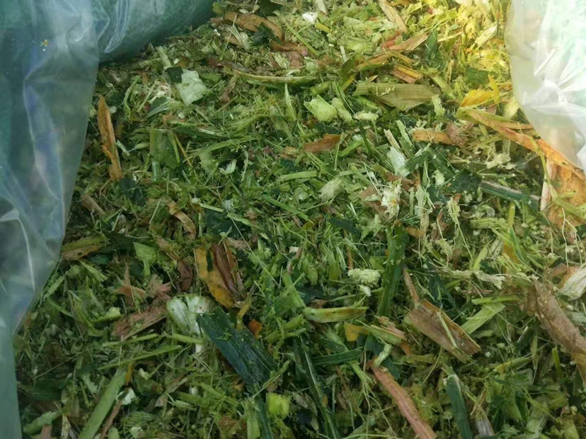 专业营养检测场景:科研人员在标准化实验室中对阳光玫瑰青提样品进行灰分酸碱性分析,仪器包括精密pH计、高温马弗炉及权威食物成分数据库参考资料,体现结论的科学溯源性 实验室场景:科研人员手持pH计探头测量青提匀浆液,旁置标注“灰分测定”标签的瓷坩埚与马弗炉,桌面摆放USDA营养数据库打印页及《中国食物成分表》