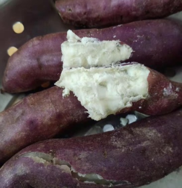 [红薯批发]红姑娘蕃薯价格0.80元/斤 - 一亩田