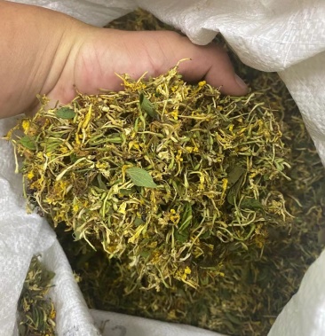 广西深山野生金银花太阳自然晒干无硫统货1吨起批