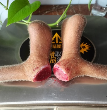 [鹿茸批发]鹿茸毛桃鹿茸价格3.50元/克 - 一亩田