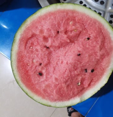 辽宁盖县西瓜大量上市锦王甜王