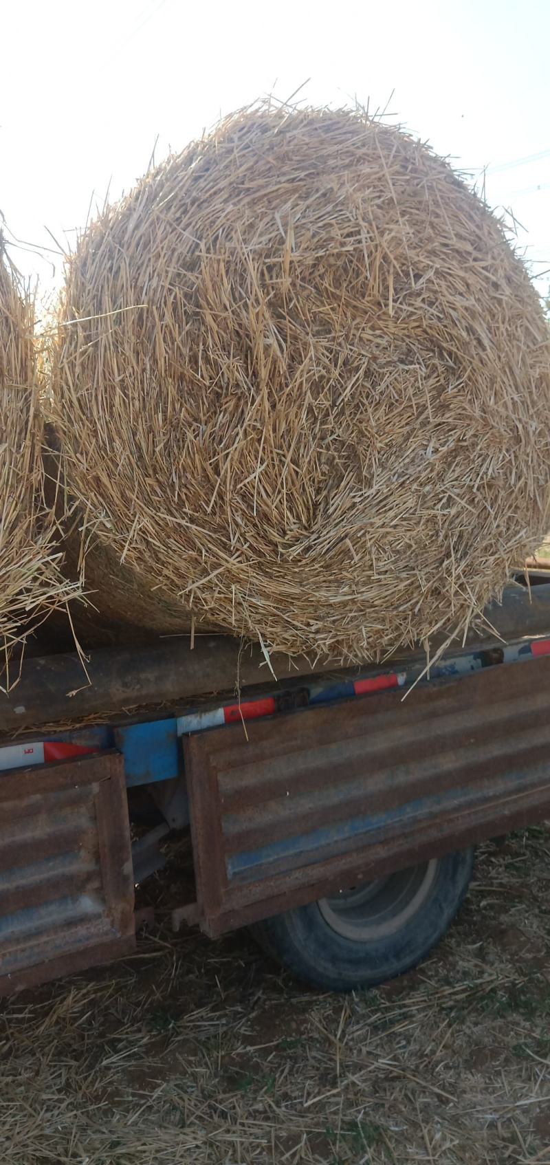 麦草秸秆黄豆秸秆秸秆类原料大全秸秆类原料供应分类点击查看更多秸秆