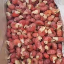 龙虾尾