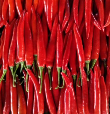 [红椒批发]海花红价格50.00元/件 - 一亩田