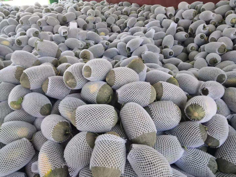 伽师瓜在电商平台上的销售页面展示,体现其品牌包装与市场认可度 伽师瓜在电商平台上的销售页面展示