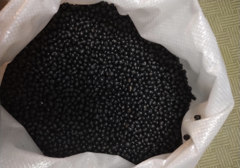 2021年新黑豆市场推广活动现场