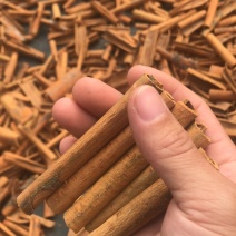桂皮精品......