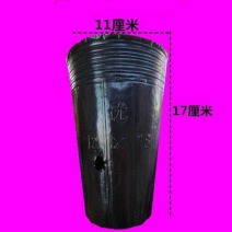 异性营养钵加厚加高塑料育苗杯营养袋营养杯种植育苗盘一次性
