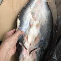 原味开背巴沙鱼10条/件和8条/件，20斤/件，越南进口