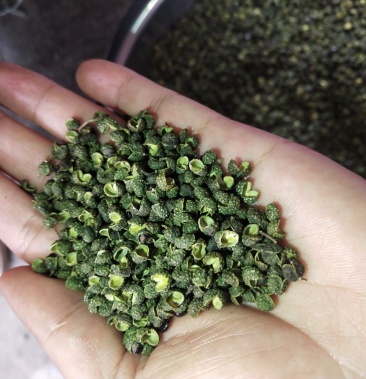 山东花椒2021 新货青花椒 色选 无刺 质量保证