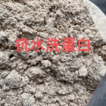抗水洗蛋白