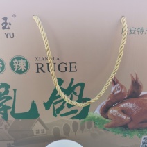 河北琅昆鸽业常年供应鸽系列产品～～