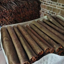 广西桂皮，桂通，条形好，足干皮厚肉香，天然无污染